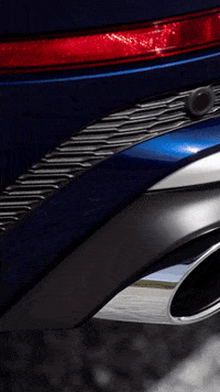 audichile  GIF