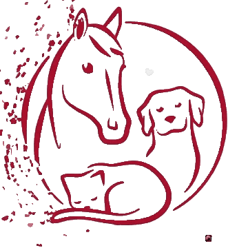 GutAiderbichl giphyupload hund katze pferd Sticker