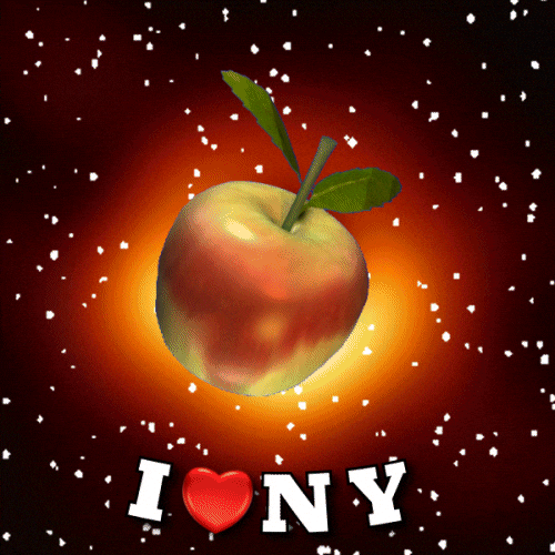 New York Usa GIF