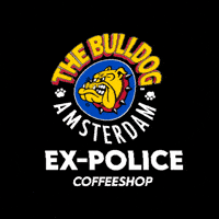 Ex-Police-Station GIF by The Bulldog Amsterdam