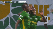 Portland Timbers Hug GIF by Timbers