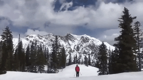 ski skiing GIF by Justin