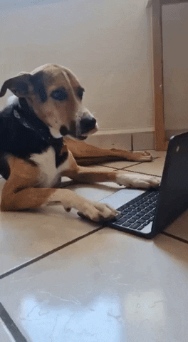 Cronopiocreativo giphyupload GIF