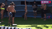 Bbau GIF by Big Brother Australia