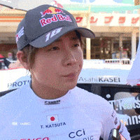 What Is It Japan GIF by FIA World Rally Championship