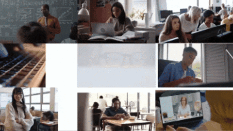 University Of California GIF by UC Scout