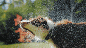 Frühjahrscheck GIF by AVP AUTOLAND