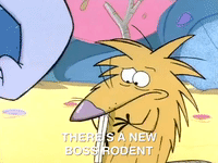 angry beavers nicksplat GIF
