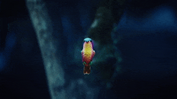 whydontwemusic why dont we 8 letters GIF