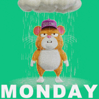 Monday Morning GIF by Grind