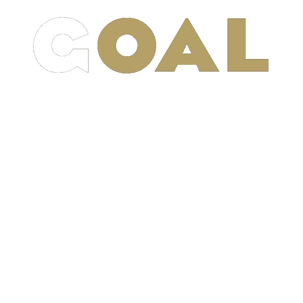 West Virginia Goal Sticker by Wheeling Nailers