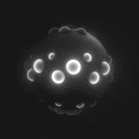 Black And White Loop GIF by xponentialdesign