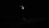 robert aldrich cinematographers dream GIF by Maudit
