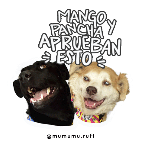 mumumuruff giphyupload adopt adoptdontshop adopta Sticker