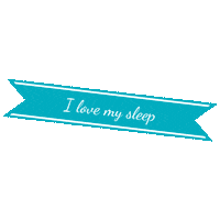 I Love Sleep Sticker by All The Sleeps