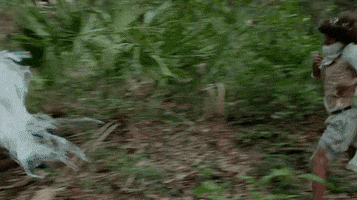 music video running GIF by Radical Face