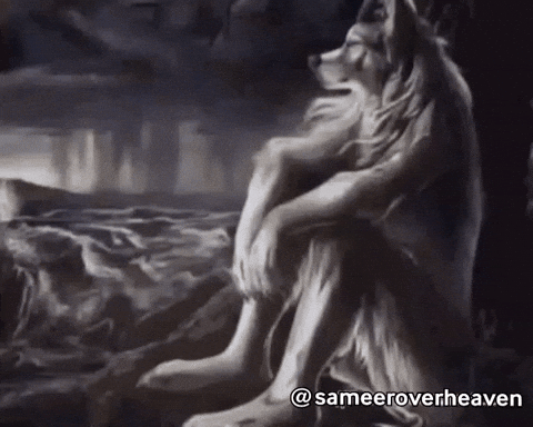 Alpha Wolf GIF
