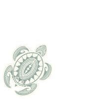 shakatribe hawaii turtle hawaiian sea turtle Sticker