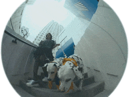 Moi Look At Us GIF by Lolo Zouaï