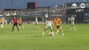 Caitlin Foord Goal GIF by Football Australia