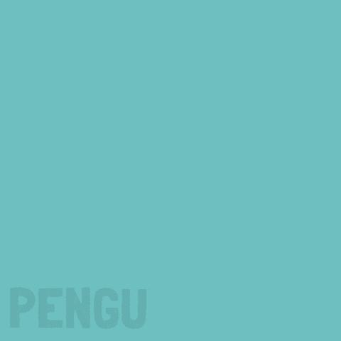 Penguin Flying GIF by Pudgy Penguins