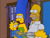 holding homer simpson GIF