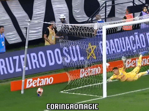 Santos Fc Futebol GIF