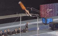 FIGymnastics  GIF