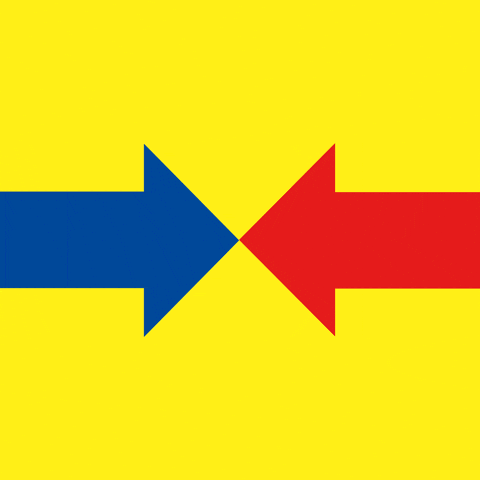 BG_Dornbirn giphyupload giphystrobetesting goal together GIF