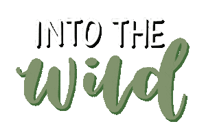 Into The Wild Summer Sticker