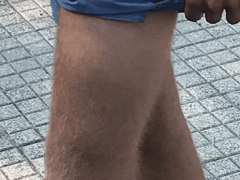 julesjanssen giphyupload GIF