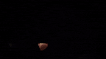 guy fieri GIF by Food Network