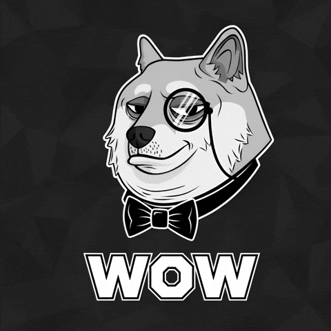 Black And White Wow GIF by Doge Pound