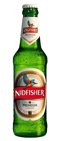 kingfisherworld nidfisher Sticker