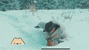 China Dog GIF