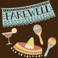 Farewell Party GIF by evite