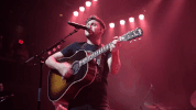 live GIF by Niall Horan