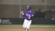 Baton Rouge Celebration GIF by LSU Tigers