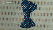 Godaddymake2021 GIF by GoDaddy