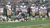 football wilson GIF by GreenWave