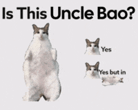Is This Cat GIF