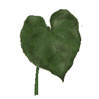 Drawdrillman love heart tree plants Sticker