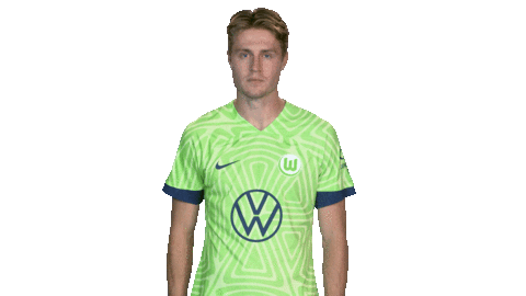Football Hello Sticker by VfL Wolfsburg