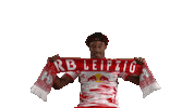Football Soccer Sticker by RB Leipzig