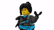 Ninjago GIF by LEGO