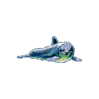 le tu STICKER