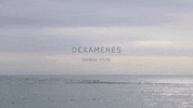 sea ocean GIF by Dexamenes Seaside Hotel