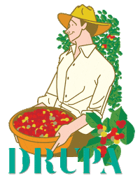 DRUPA coffee cafe coffeelovers specialitycoffee Sticker