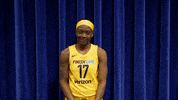 fever basketball idk GIF by Indiana Fever