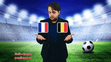 France Football GIF